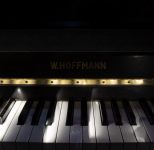 ELEONORE PIOCHE - PIOCHE ELEONORE