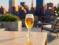 Franck BOHBOT - FB Studio